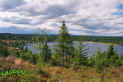 Laupen