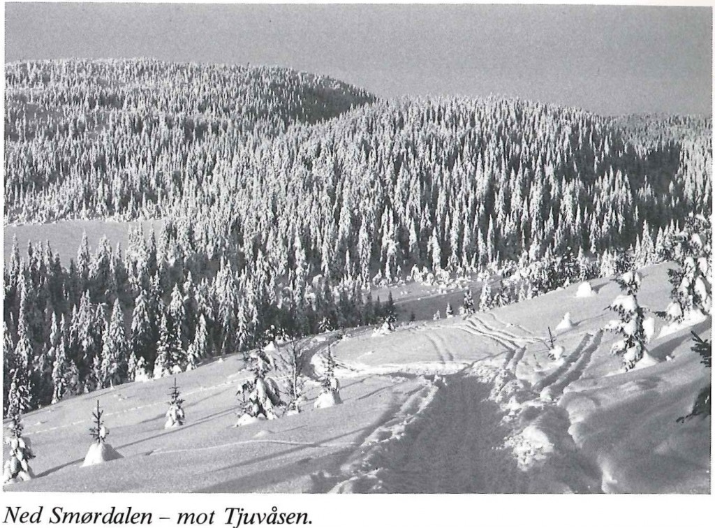 totenas3_smordalen1