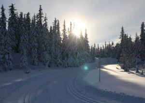 Oksbakken-Rausteinshytta-over-Rausteinstjernet