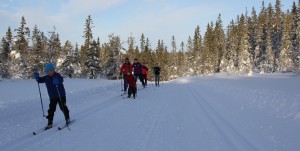 Oksbakken-Rausteinshytta-siste-kneika