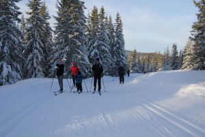 Opp-fra-Hemningsdalen