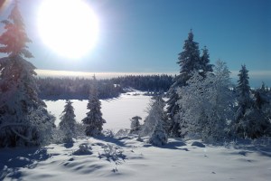 Utsikt fra Rausteinshytta